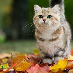 Яна Ходаева, 11.04.1985