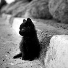 Aktoty Baitleuova, 29.04.1991, Аксай