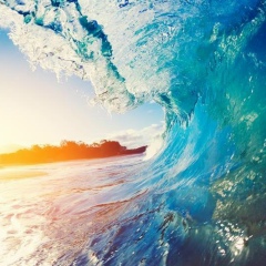 Иван Владимирович, 27.12, Киев