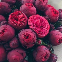 Лариса Ярина, 03.03, Кинешма