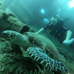 Александр Самойленко, 12.10, Москва