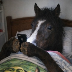 Артём Дрейман, 27.11, Воронеж