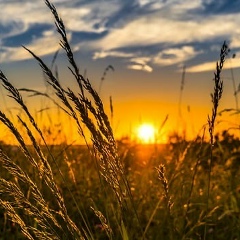 Елена Рыбалкина, 13.06, Москва