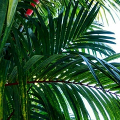 Юлия Малахова, 12.08, Lugano