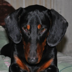 Виктор Шишин, 19.04.1988, Балаково