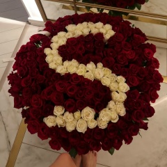 Salima Salima, Алматы