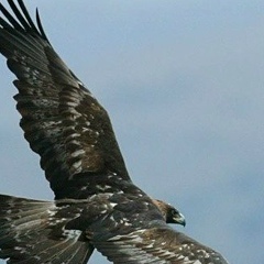 Елдос Наметбаев, 23.01.1990, Тараз