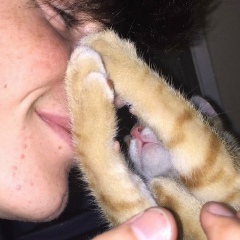 Августин Астафьев, 06.10.1994