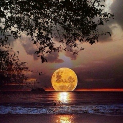 Вячеслав Яниев, 27.04.1977, Алматы