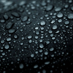 Назар Бакланов, Киев