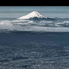 Андрей Крутиков, Tokyo