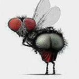 Khassabay Dinlossan, 11.02, Сортобе