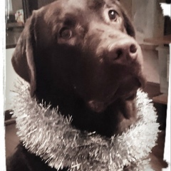 Ирина , 06.12.1983, Москва