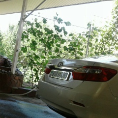 Сардор Мирзакаримов, 06.09, Шымкент