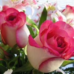 Алия Кальниязова, 12.04, Актобе