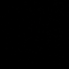 Lena Vasil'kova, Минск