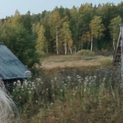 Татьянка Родникова, 24.01, Санкт-Петербург