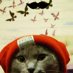 Давид Нариманов, 28.01, Москва