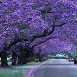 Ирина Свиридова, 05.01, Санкт-Петербург