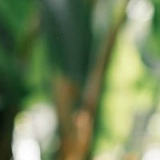 Аркадий Самуэль, 04.12.1989, Москва