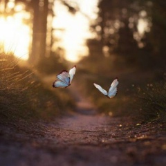 Евгения Асташова, 01.02, Подольск