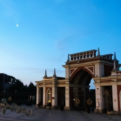 Сергей Меркулов, 19.03