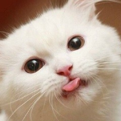 Марат Усенов, 29.09, Ташкент