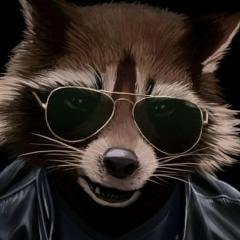 Руслан Ледней, Новочеркасск