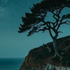 Танюшка Сазыкина, Москва