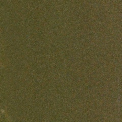 Оля Склярчук, 09.09