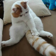 Просто Время, 23.06.1989, Москва