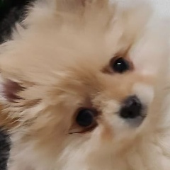 Юлия Андриянова, 30.10, Казань