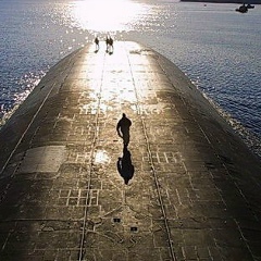 Юрий Афонин, Изобильный