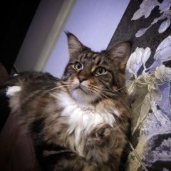 Сергей Бусс, 15.12, Dortmund