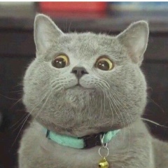 Дулгара Хандуева, 02.03.1992, Улан-Удэ