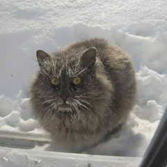 Максим Тимуршин, 09.03.1985, Москва