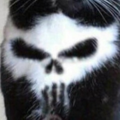 Мага Курбанов, 09.09.1993, Kyōto