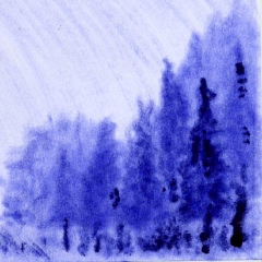 Катя Кулюцина, 21.11.1992, Ташкент