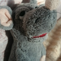 Сергей Моисеев, 25.08.1983, Великие Луки