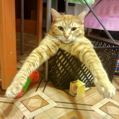 Инна Абрамова, 18.03, Чебоксары