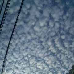 Thein Tunoo, 29.04.1989