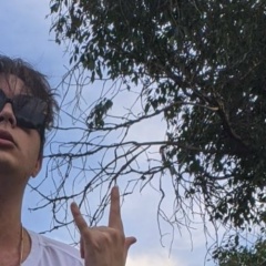 Дима Мальцев, 11.10