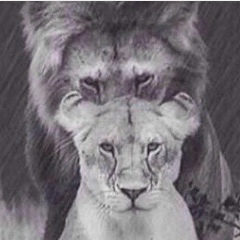 Yje Pochtinoch, 23.04.1995, Москва