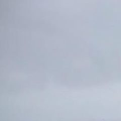 Юлия Васильева, Санкт-Петербург