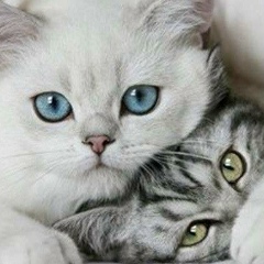 Юлия Исакова, 22.03.1987, Москва