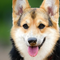 Инна Доброва, 31.10