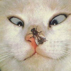 Дмитрий Дмитриев, 29.12