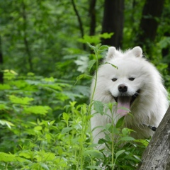 Алена Богонос, 19.08