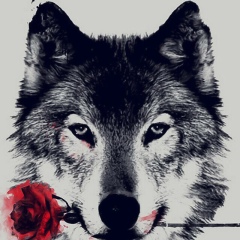 Муслим Кодиров, 26.06.1994, Бишкек