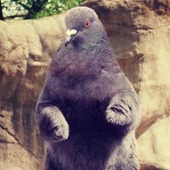 Игорь Леденев, 14.09.1990